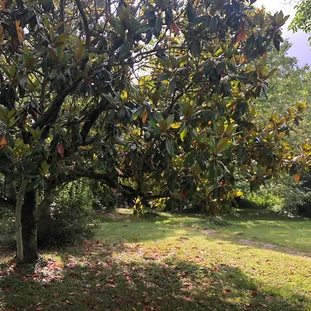 Maison De Haouret 4* Libaros