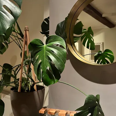 Maison De Haouret Bed and Breakfast 4*