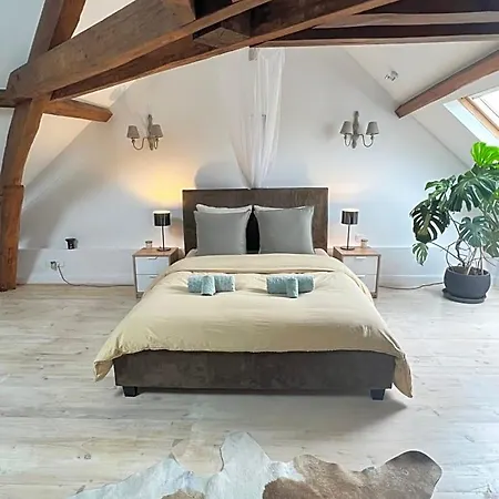 Maison De Haouret 3* Libaros
