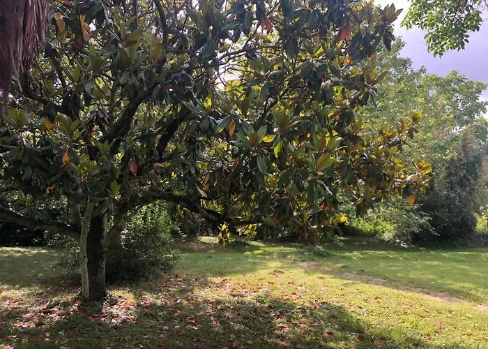 Maison De Haouret 4* Libaros