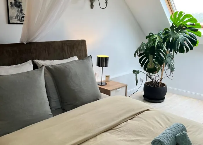 Maison De Haouret 4* Libaros