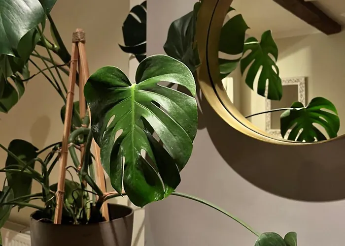 Maison De Haouret Bed & Breakfast 4*